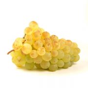 chasselas