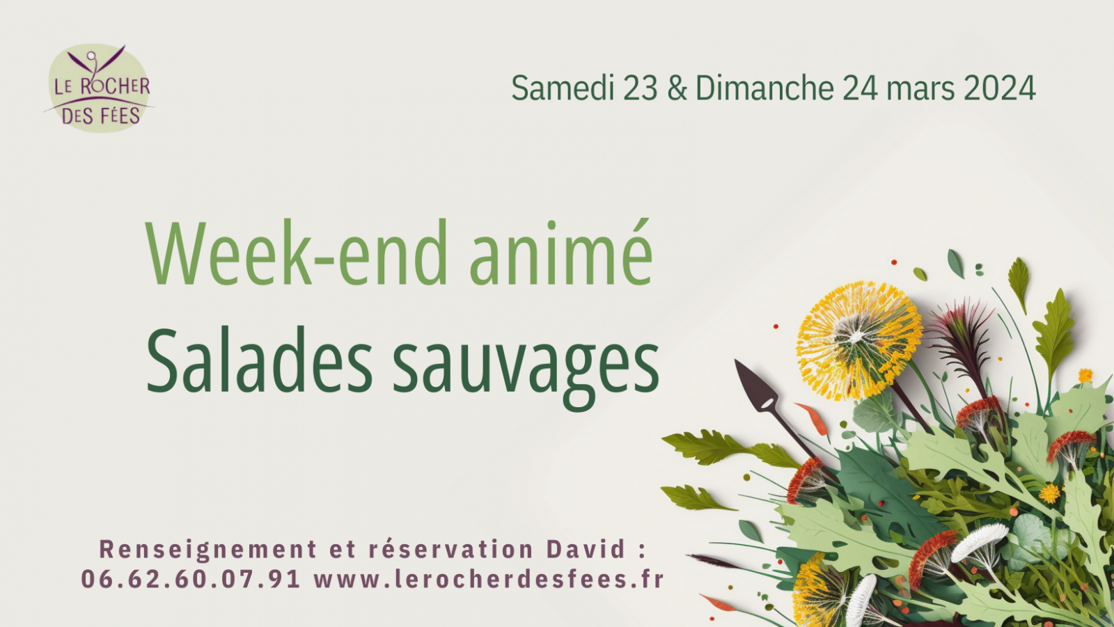 bannière salades sauvages 2024 bannière salades sauvages 2024